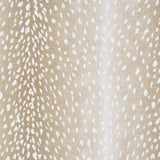 Sadie Slipcovered Chair