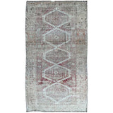 Aergul Rug 4'1"x7'8" #9016