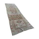 Ajnur Rug 3'1"x10'3" #9025
