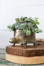 Load image into Gallery viewer, Tommie The Turtle Short Metal Pot
