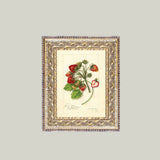 Study of Strawberries Framed Antique Art