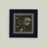 Dark Apple Blossoms Framed Antique Art