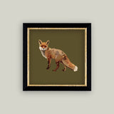 Fox Closeup Framed Antique Art
