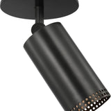 Precision 3" Directional Monopoint Flush Mount