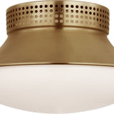 Precision 9" Downlight Flush Mount