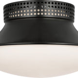Precision 9" Downlight Flush Mount