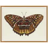Pink and Gold Butterfly 2 43.25"w x 33.25"h