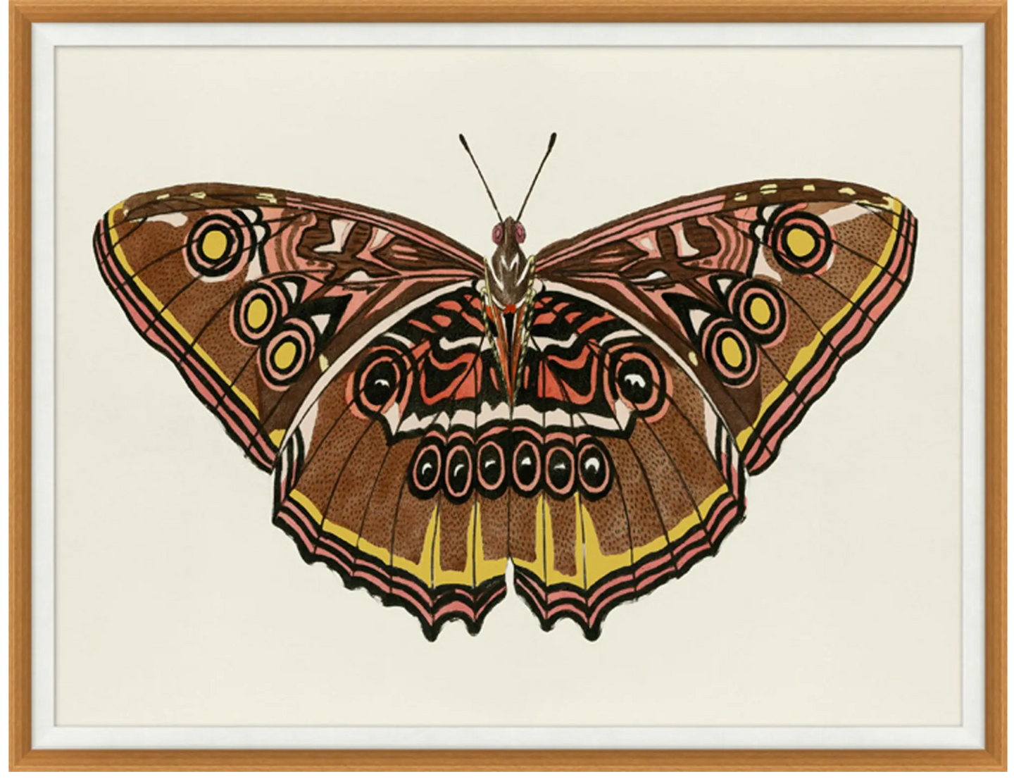 Pink and Gold Butterfly 2 43.25