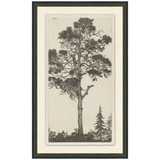 Tree Tops 1 Wall Art