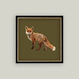 Fox Closeup Framed Antique Art