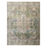 Farro Distressed Power-Loomed Polyester Rug