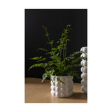White Ceramic Bubble Pot