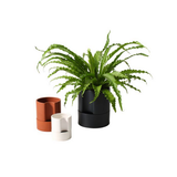 Jett Self Watering Black Plant Pot