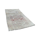 Aergul Rug 4'1"x7'8" #9016