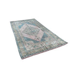 Asli Rug 4'4"x7'10" #9017