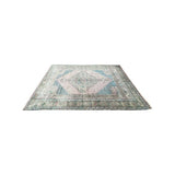 Asli Rug 4'4"x7'10" #9017