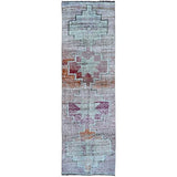 Dilay Rug 3'1"x10'1" #9022