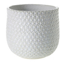 Load image into Gallery viewer, Ginny Bubble Textured Ceramic Pot Large
