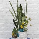 Ginny Bubble Textured Ceramic Pot Medium