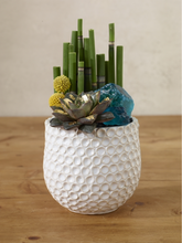 Load image into Gallery viewer, Ginny Bubble Textured Ceramic Pot Medium
