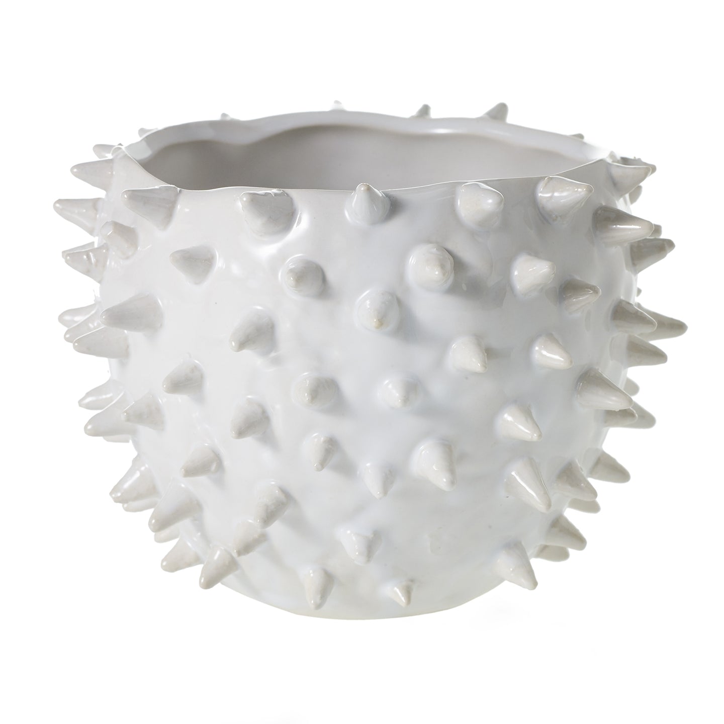 Cacti Ceramic Spiked Pot Small