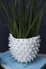 Load image into Gallery viewer, Cacti Ceramic Spiked Pot Large
