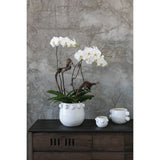 Fem Rosa Ceramic Pot Small